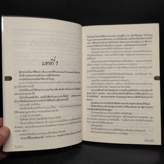 เจ้าสาวบ้านไร่ - จันทริกา รูปที่ 6
