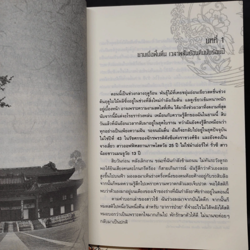 เจาะมิติพิชิตบัลลังก์ 4 เล่มจบ - ถงหัว รูปที่ 6