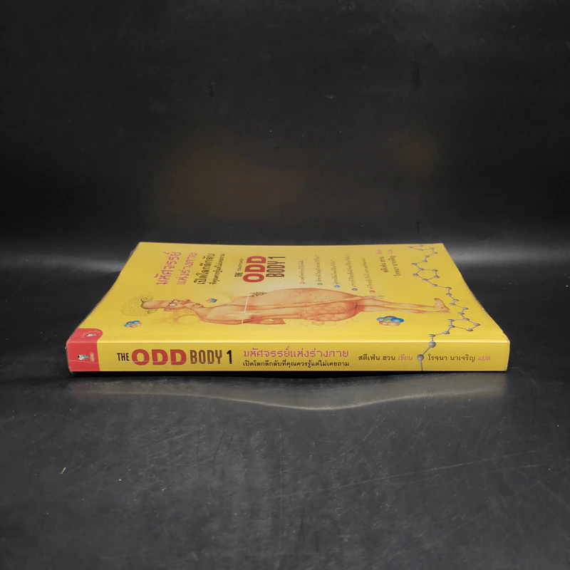 มหัศจรรย์แห่งร่างกาย เล่ม 1 : The Odd Body 1 - สตีเฟ่น ฮวน รูปที่ 3