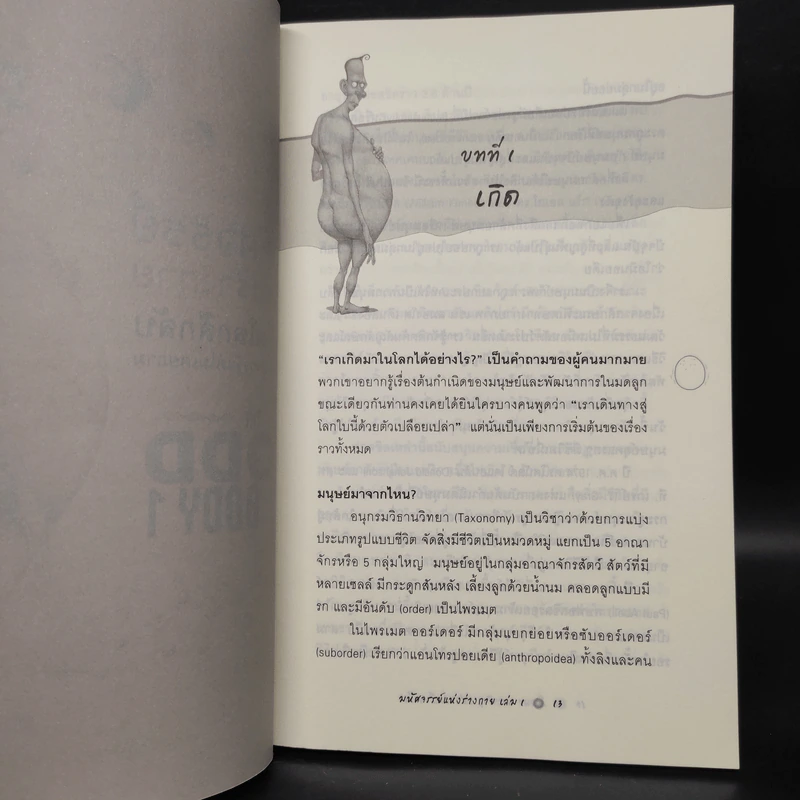 มหัศจรรย์แห่งร่างกาย เล่ม 1 : The Odd Body 1 - สตีเฟ่น ฮวน รูปที่ 6