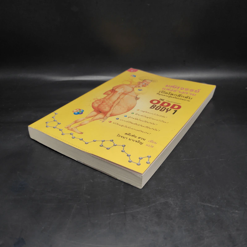 มหัศจรรย์แห่งร่างกาย เล่ม 1 : The Odd Body 1 - สตีเฟ่น ฮวน รูปที่ 4