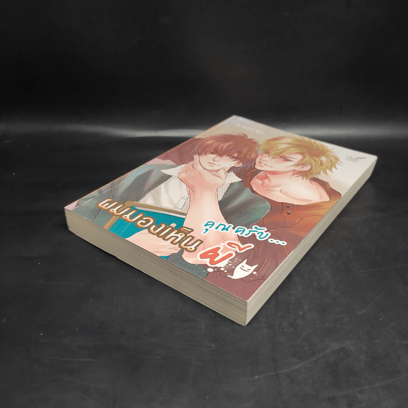 นิยายวาย คุณครับ...ผมมองเห็นผี - Violet Rain รูปที่ 4