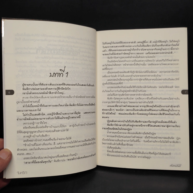 เจ้าสาวบ้านไร่ - จันทริกา รูปที่ 6