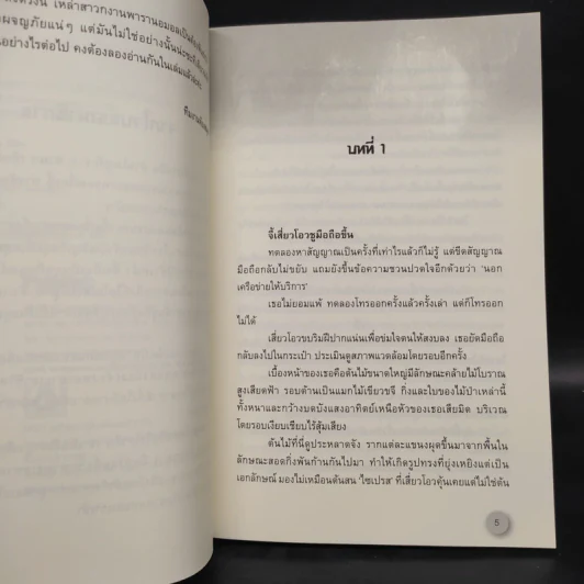 สิงห์สถิต 2 เล่มจบ - ฟงเหอโหยวเย่ (Fengheyouyue) รูปที่ 6