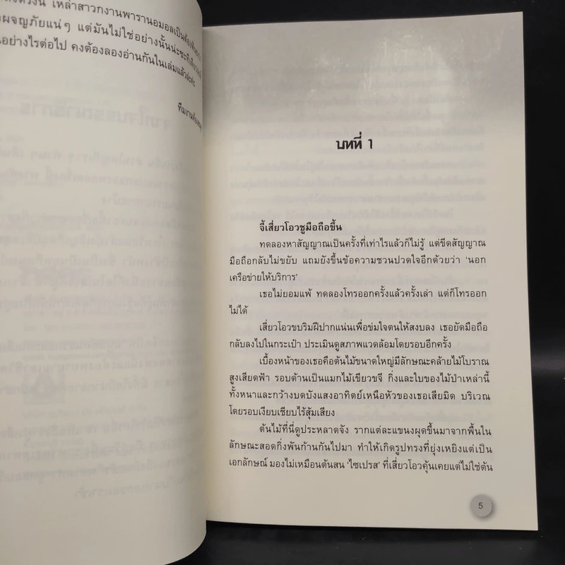 สิงห์สถิต 2 เล่มจบ - ฟงเหอโหยวเย่ (Fengheyouyue) รูปที่ 6