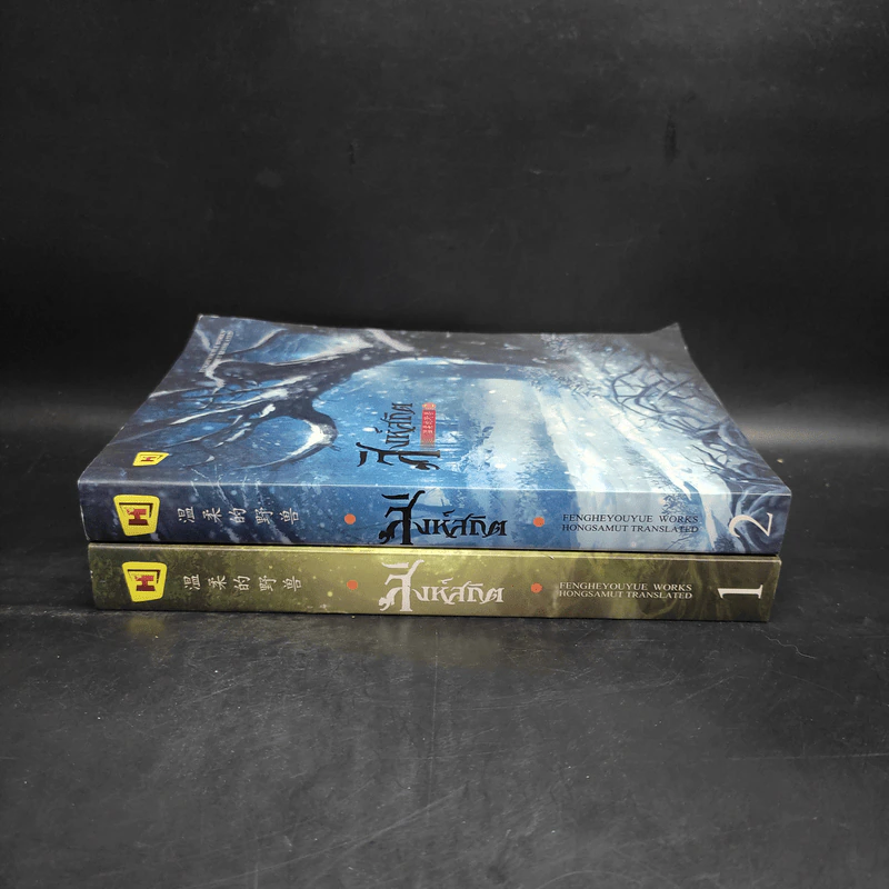 สิงห์สถิต 2 เล่มจบ - ฟงเหอโหยวเย่ (Fengheyouyue) รูปที่ 3