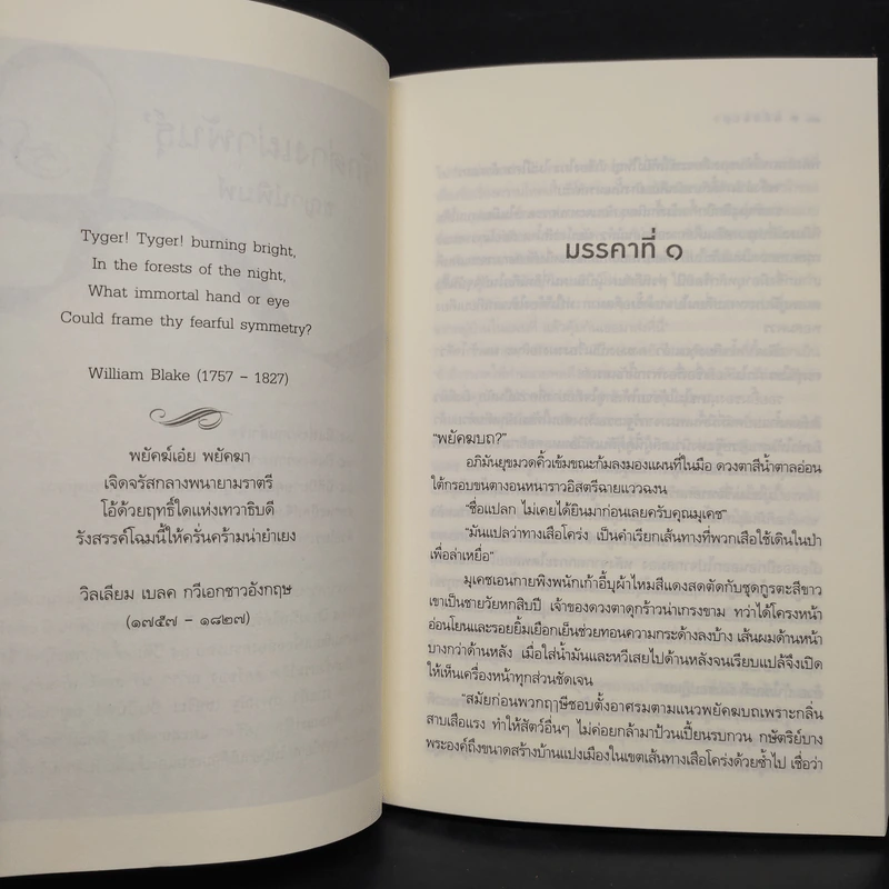 พยัคฆบถ - ชญาน์พิมพ์ รูปที่ 6