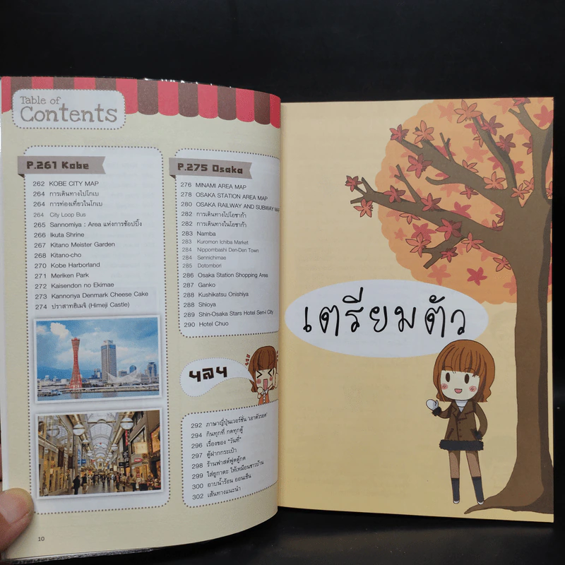Japan 2 ญี่ปุ่น คนเดียวก็เที่ยวได้ (อีก) รูปที่ 9