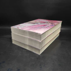 ท่านอ๋องข้าอยากเป็นศรีภรรยา 3 เล่มจบ - Wu Shi Yi รูปที่ 3