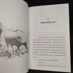 นกแอ่นฟ้า - มาลา คำจันทร์ รูปที่ 7