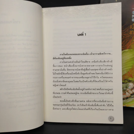 แนบเนื้อเทวะ 2 เล่มจบ - อีตู้จวินหัว รูปที่ 6
