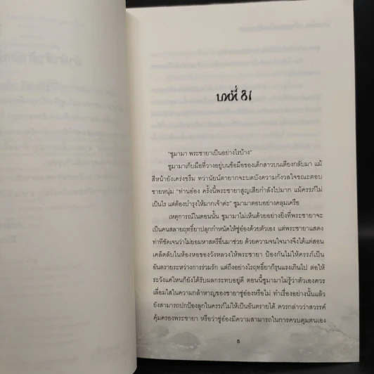 ท่านอ๋องข้าอยากเป็นศรีภรรยา 3 เล่มจบ - Wu Shi Yi รูปที่ 9