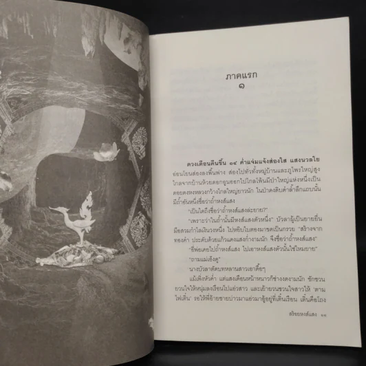 สร้อยหงส์แสง - มาลา คำจันทร์ รูปที่ 6