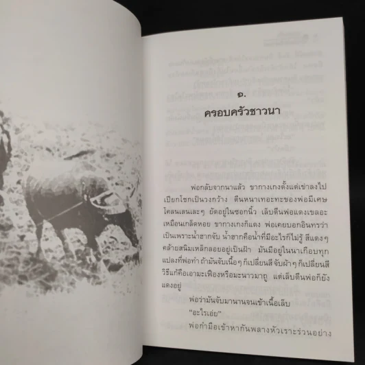 นกแอ่นฟ้า - มาลา คำจันทร์ รูปที่ 7