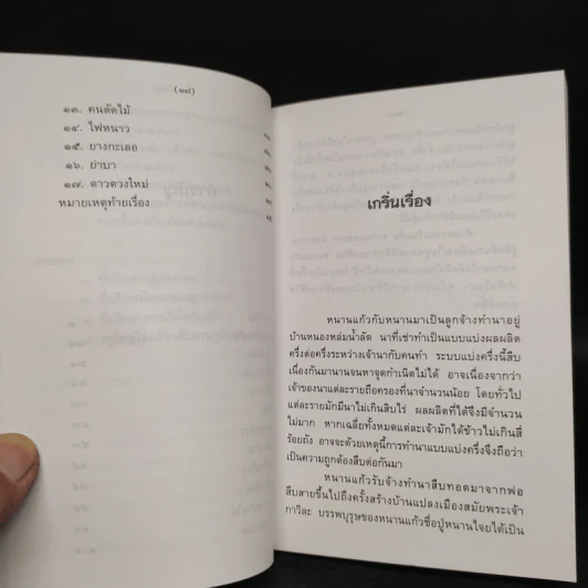 บ้านไร่ชายดง - มาลา คำจันทร์ รูปที่ 7