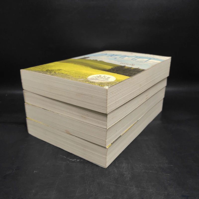 Boxset นิยายชุด บ้านไร่ปลายฝัน 4 เล่ม ได้แก่ ธาราหิมาลัย, ดวงใจอัคนี, ปฐพีเล่ห์รัก, วายุภัคมนตรา รูปที่ 5