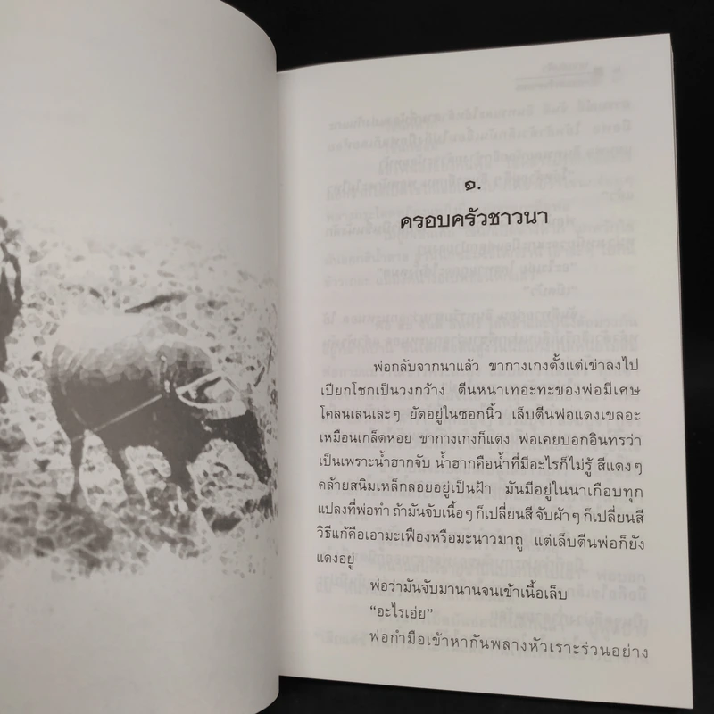 นกแอ่นฟ้า - มาลา คำจันทร์ รูปที่ 7