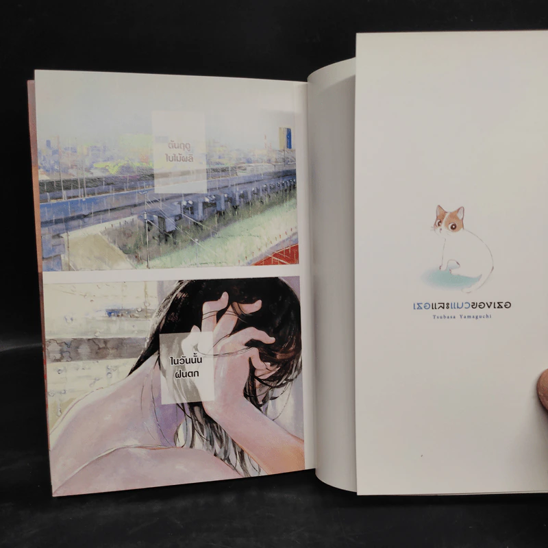 เธอและแมวของเธอ (ฉบับการ์ตูน) - มาโคโตะ ชินไค (Makoto Shinkai) รูปที่ 5