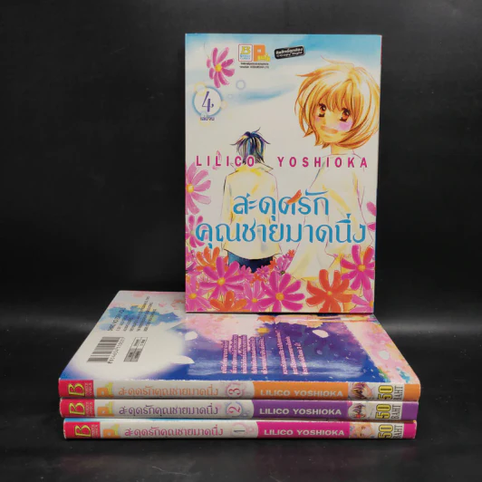 สะดุดรักคุณชายมาดนิ่ง 4 เล่มจบ รูปที่ 1