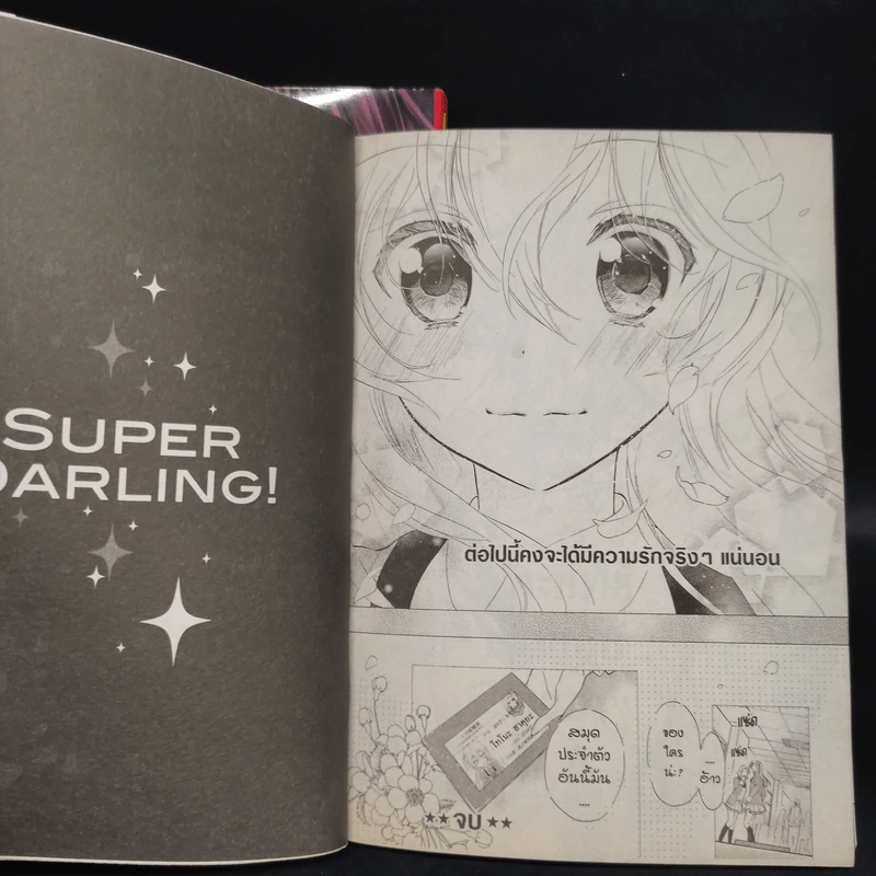 Superstar Darling! ซุปเปอร์ ดาร์ลิ่ง! 2 เล่มจบ รูปที่ 7