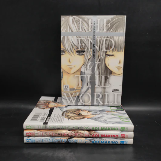 The End of The World ความลับของสองเรา 4 เล่มจบ รูปที่ 1