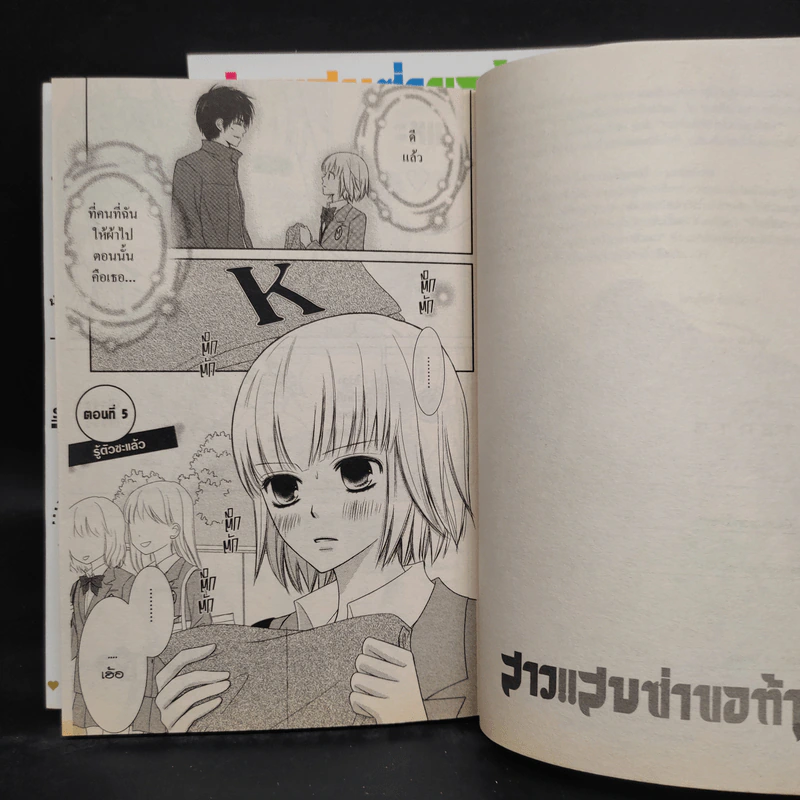สาวแสบซ่าขอท้าหัวใจ 2 เล่มจบ รูปที่ 5