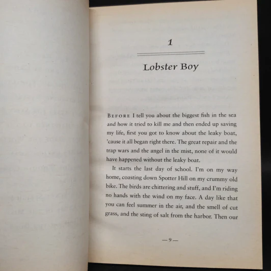 The Young Man and the Sea - Rodman Philbrick รูปที่ 6