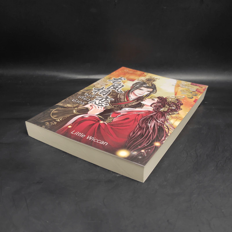 หงส์เกี้ยวมังกร - Little Wiccan รูปที่ 4
