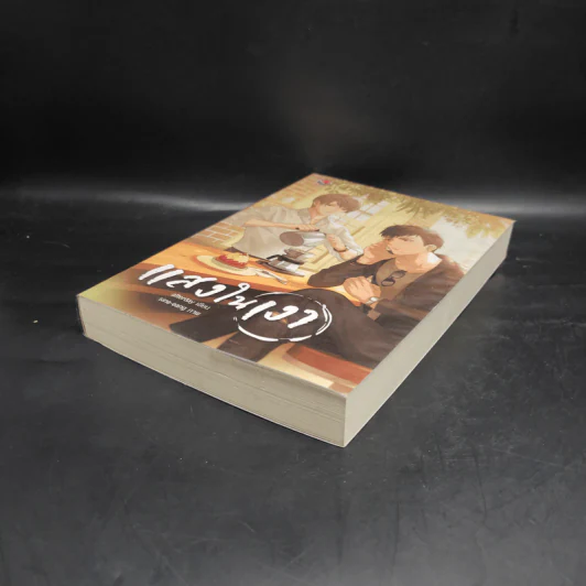 นิยายวาย แสงในเงา - Afterday รูปที่ 4