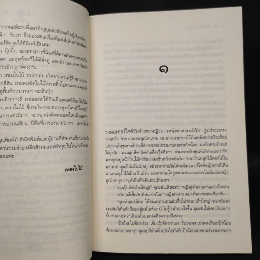 เจ้าสาวแก้ขัด - เพลงใบไม้ รูปที่ 5
