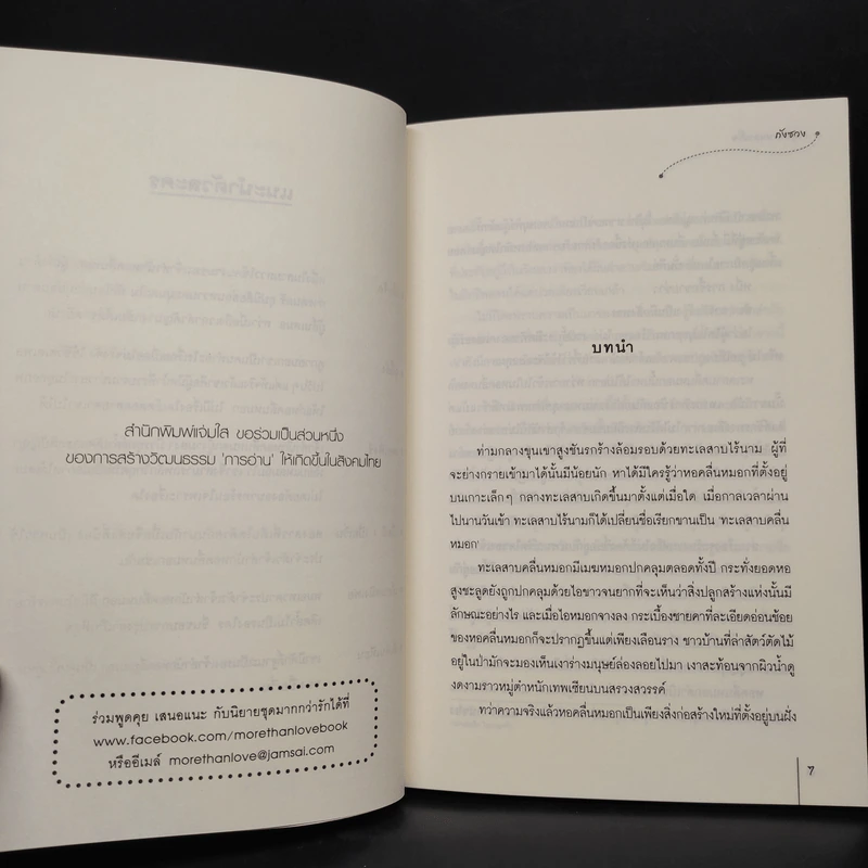 นิยายแจ่มใส คุณชายหลายใจ ชุด แผนร้ายเลือกคู่ - ถังซวง รูปที่ 6