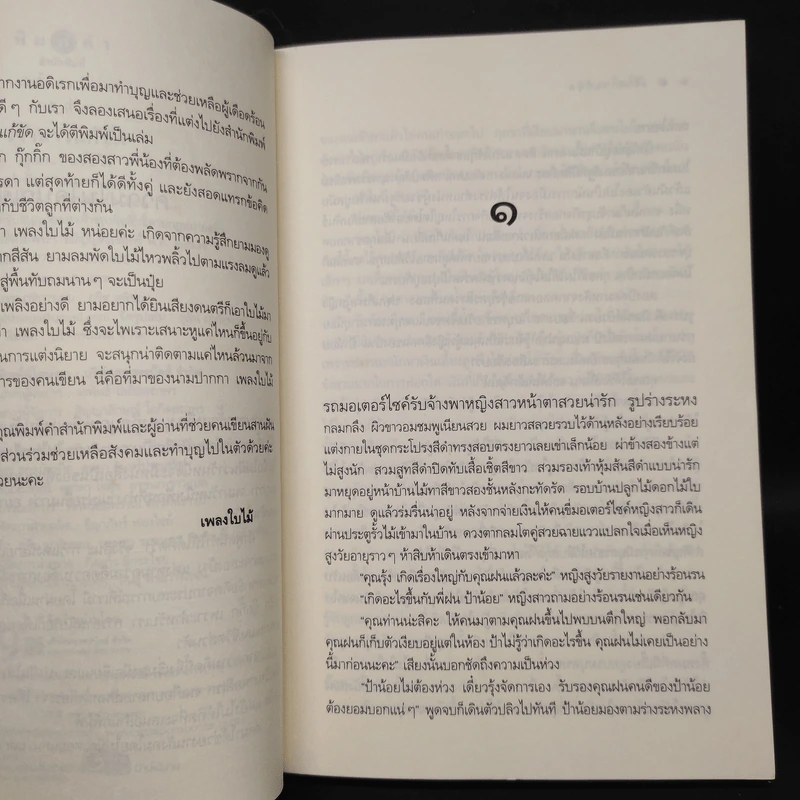 เจ้าสาวแก้ขัด - เพลงใบไม้ รูปที่ 5