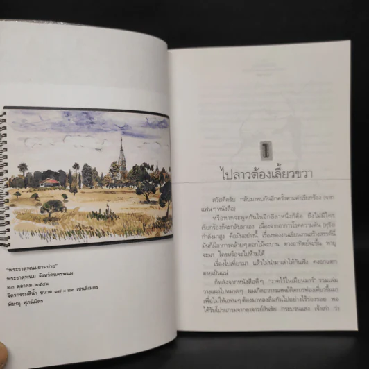 เฉลียงตะวันออก ปลายทางหมายเลข 9 ลาว-เวียดนาม - พิษณุ ศุภ รูปที่ 7