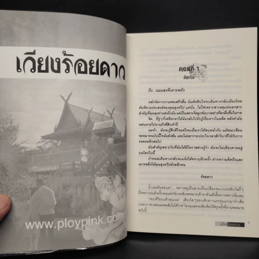 เวียงร้อยดาว - บินละเว รูปที่ 6