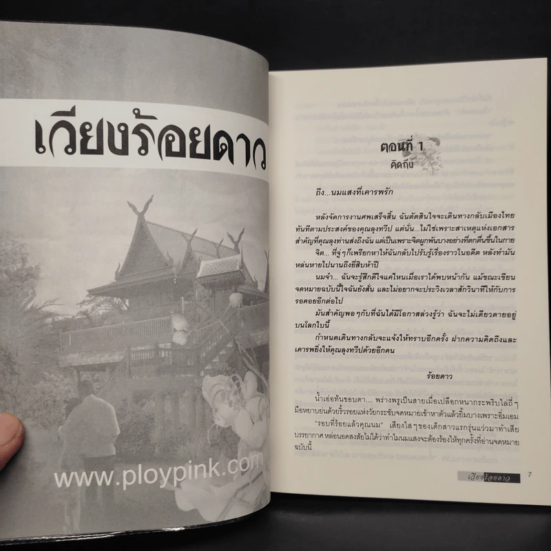 เวียงร้อยดาว - บินละเว รูปที่ 6