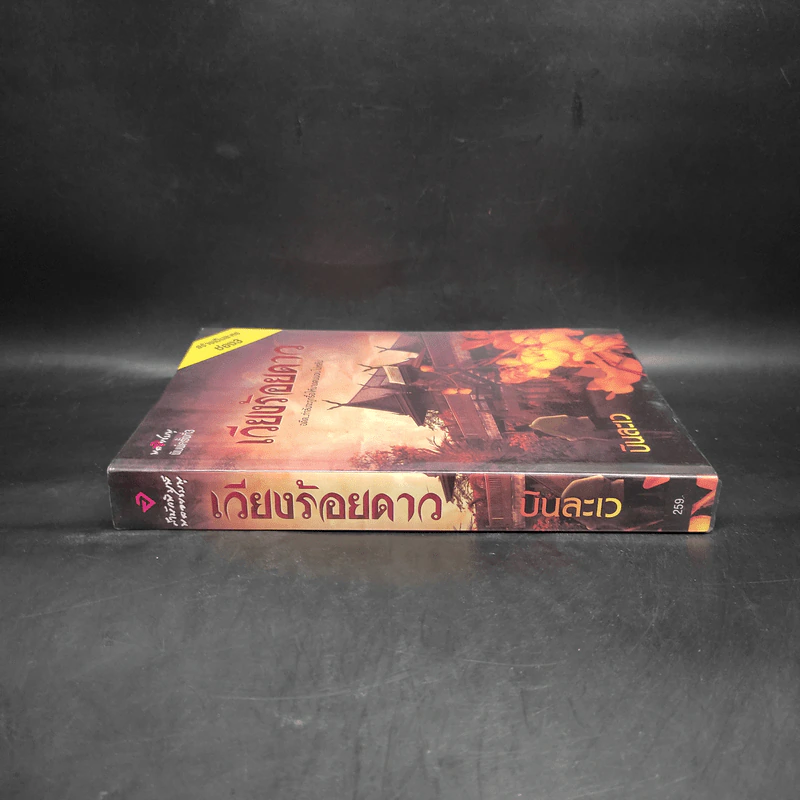 เวียงร้อยดาว - บินละเว รูปที่ 3