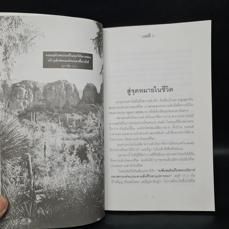 พลังแห่งชีวิต รูปที่ 6