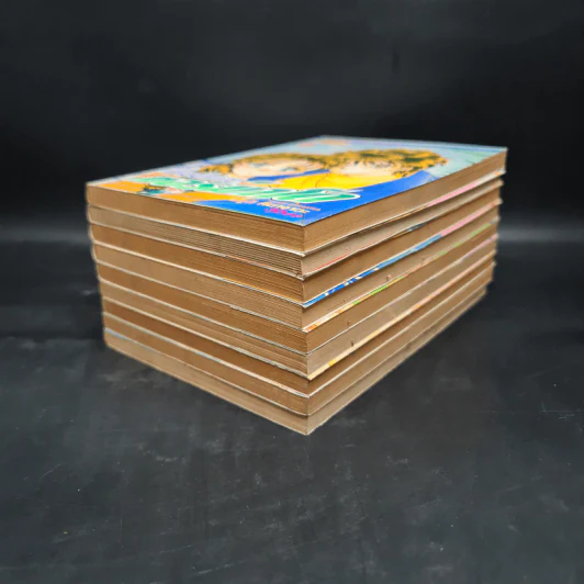 แม่สาวทอร์นาโด เล่ม 1-9 รูปที่ 3