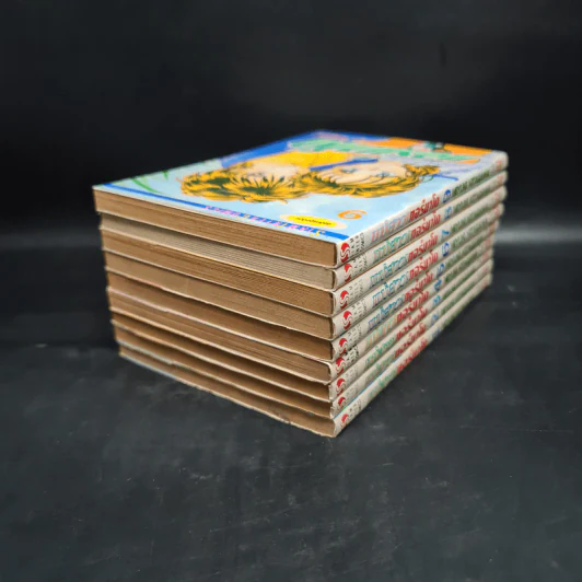 แม่สาวทอร์นาโด เล่ม 1-9 รูปที่ 4