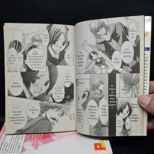 Honey Hunt เล่ม 1-6 รูปที่ 7