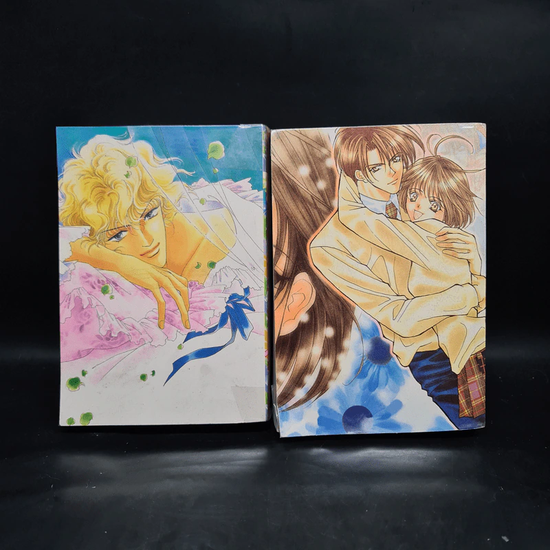 นางฟ้าซาตาน 2 เล่มจบ รูปที่ 2