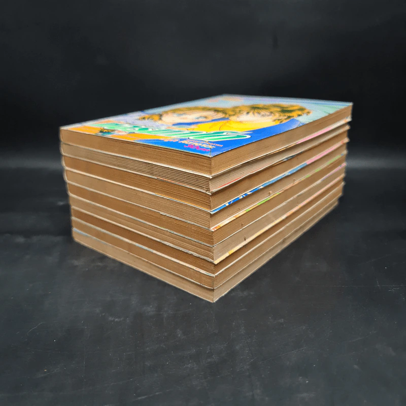 แม่สาวทอร์นาโด เล่ม 1-9 รูปที่ 3