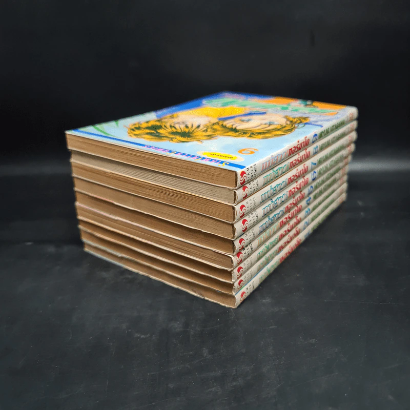แม่สาวทอร์นาโด เล่ม 1-9 รูปที่ 4