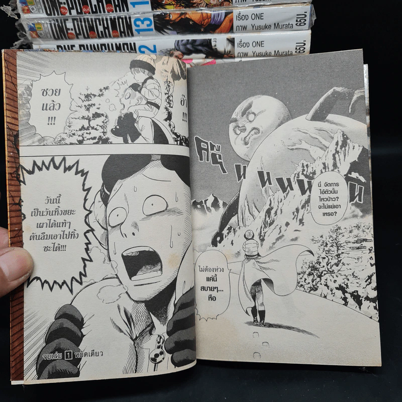 One-Punch Man เล่ม 1-17 รูปที่ 8