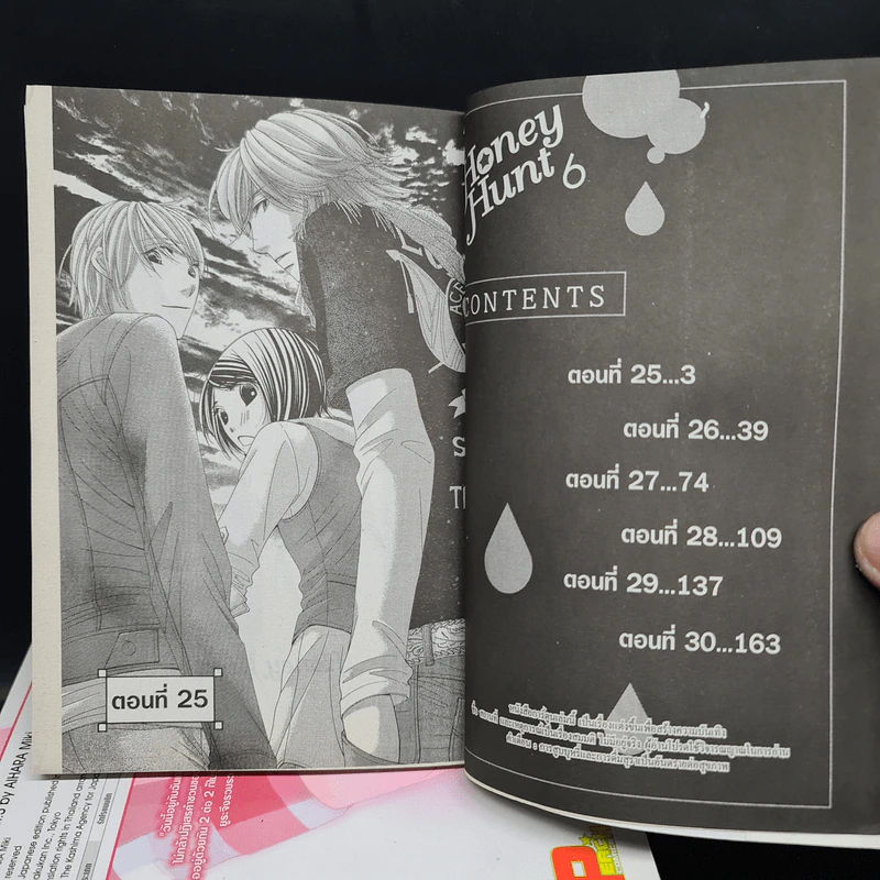 Honey Hunt เล่ม 1-6 รูปที่ 6