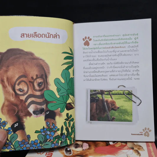 ผมชื่อคิงคองคร้าบ เล่ม 1,2,3,5 + เล่มพิเศษ - วัสชนะ พรหมประสิทธิ์ รูปที่ 6
