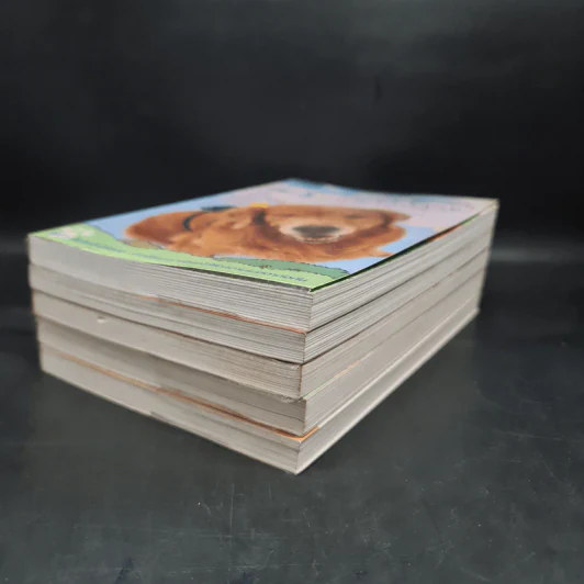 ผมชื่อคิงคองคร้าบ เล่ม 1,2,3,5 + เล่มพิเศษ - วัสชนะ พรหมประสิทธิ์ รูปที่ 3