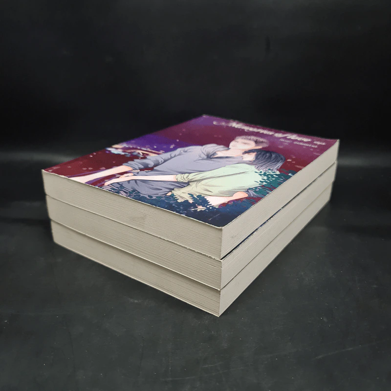 นิยายวาย Memories of Love 3 เล่มจบ - อนันตกาล รูปที่ 3