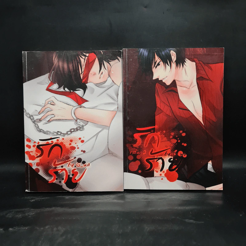 นิยายวาย รักร้าย เล่ม 1-2 - G_wa รูปที่ 1