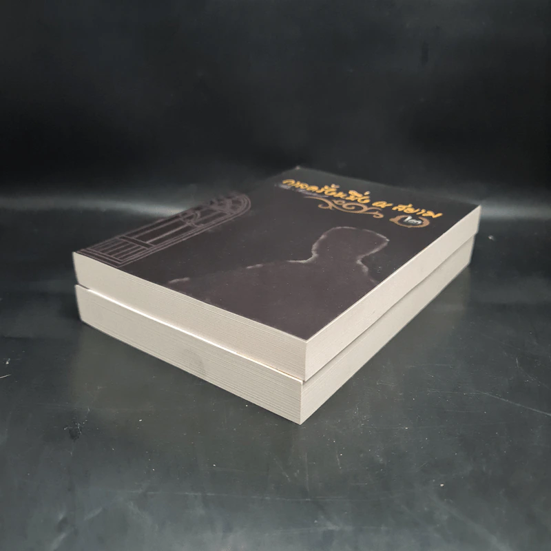 นิยายวาย กาลครั้งหนึ่ง ณ สยาม 2 เล่มจบ Boxset - เซ็งเป็ด รูปที่ 6